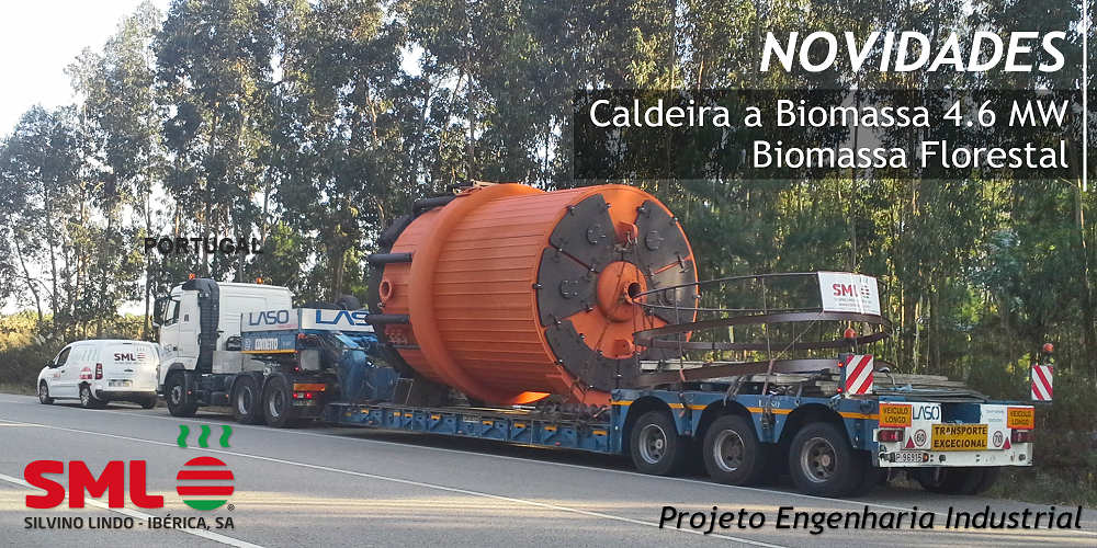 Caldera de Biomasa Forestal de 4.6MW